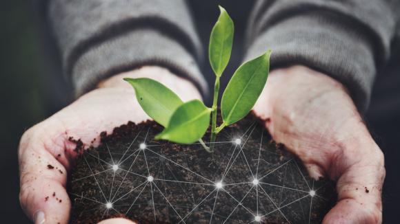 Udržitelné technologie: Inovace pro zelenější planetu