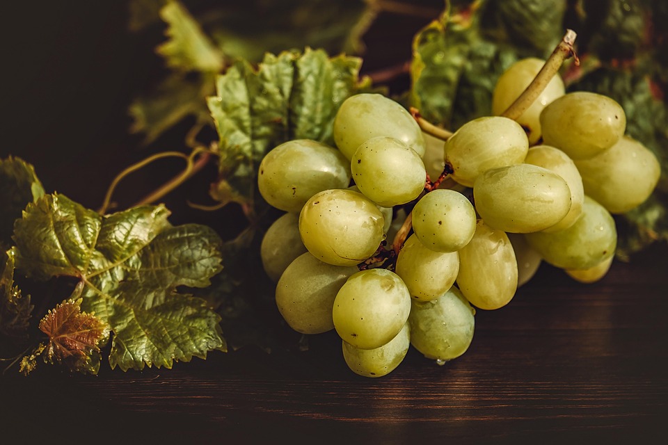 Superpotraviny a jejich vliv na gastronomii